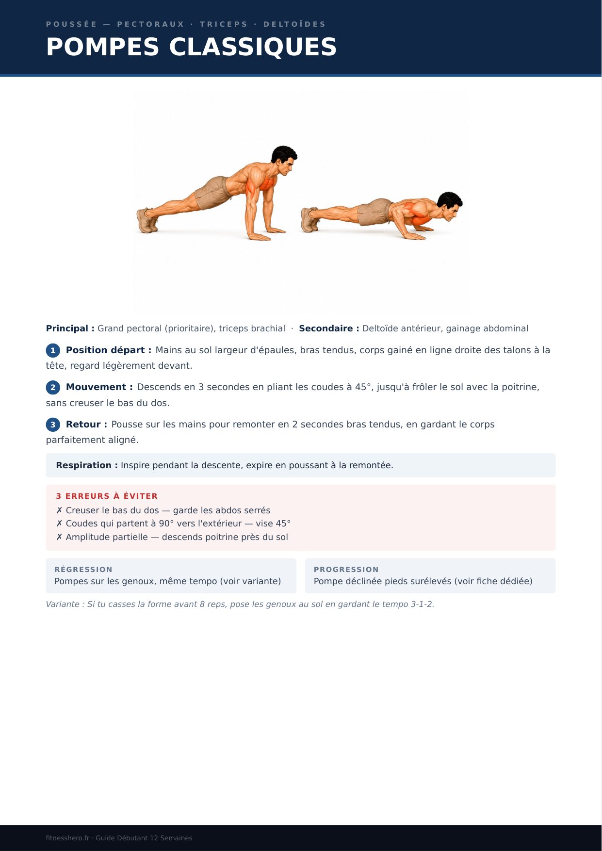 Programme Débutant - Fiche exercice illustrée pompes